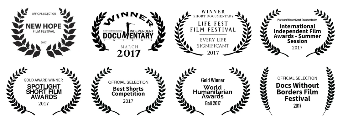 Film festival awards